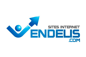 Logo VENDELIS agence web Vendée